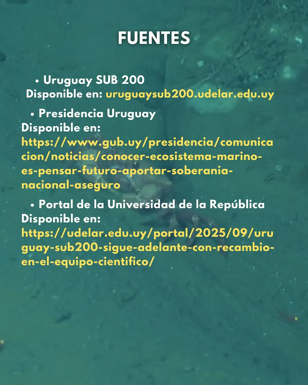 Uruguay SUB200: soberanía en las profundidades, imagen 8 de 8